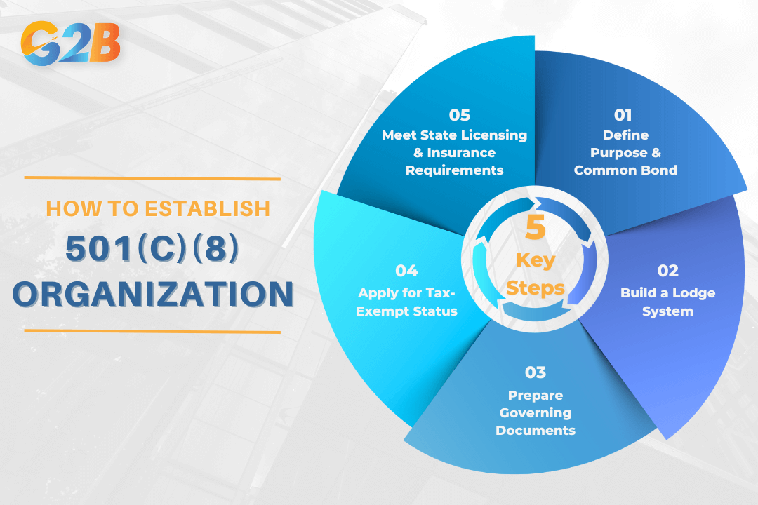 The following roadmap breaks down the complex process into 5 steps