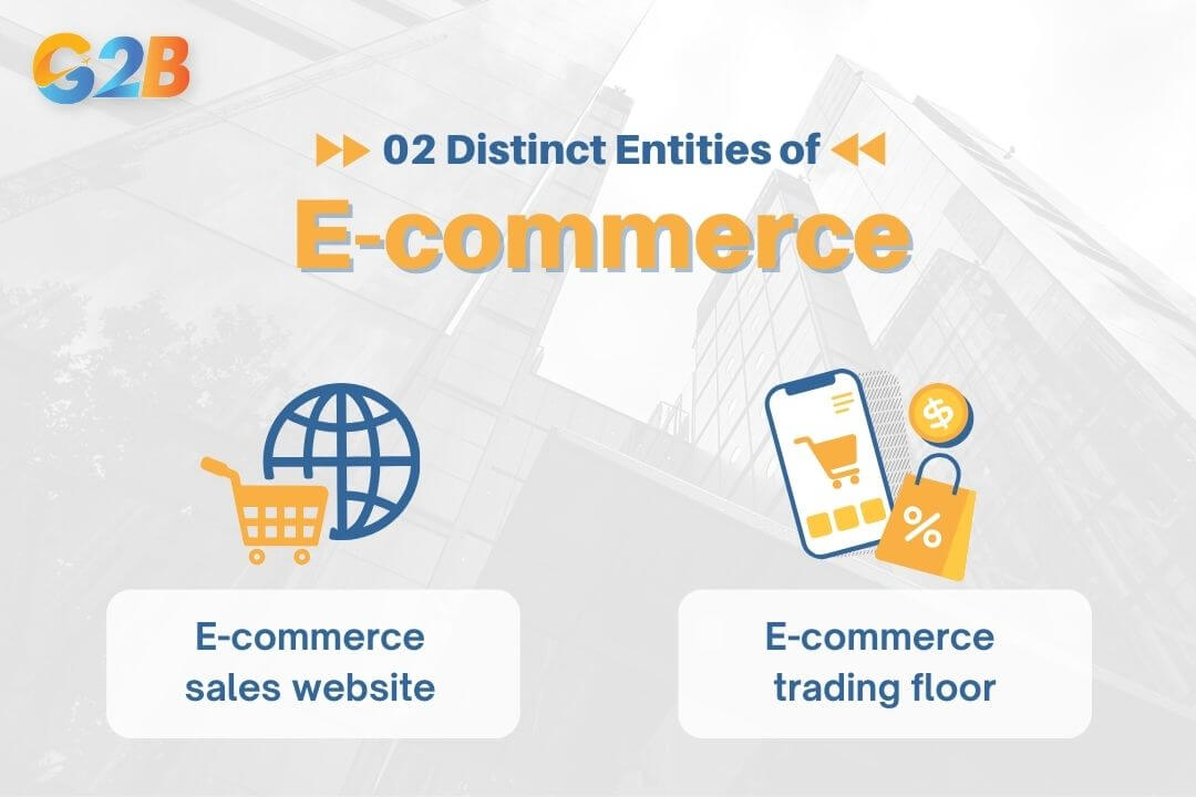 The MoIT classifies e-commerce operations into 2 distinct entities