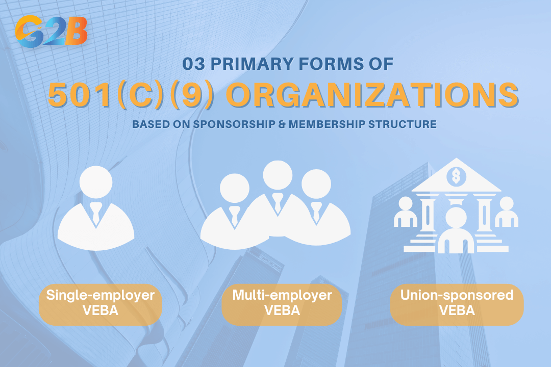 The VEBA comes in 3 forms based on sponsorship and membership structure