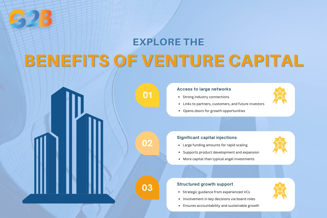 Venture capital firms provide robust advantages