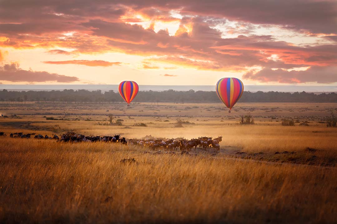 Kenya Travel: A Guide To The Land Of Safaris And Maasai