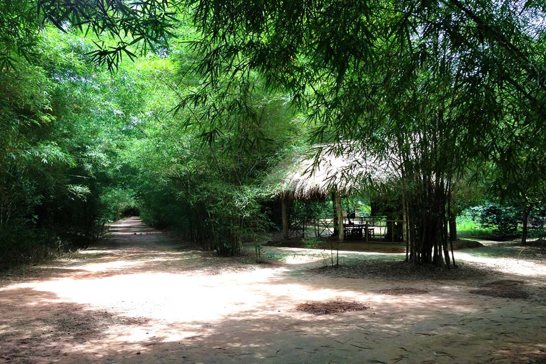 From Ho Chi Minh City: Cu Chi Tunnels & Mekong Delta 1-Day Tour
