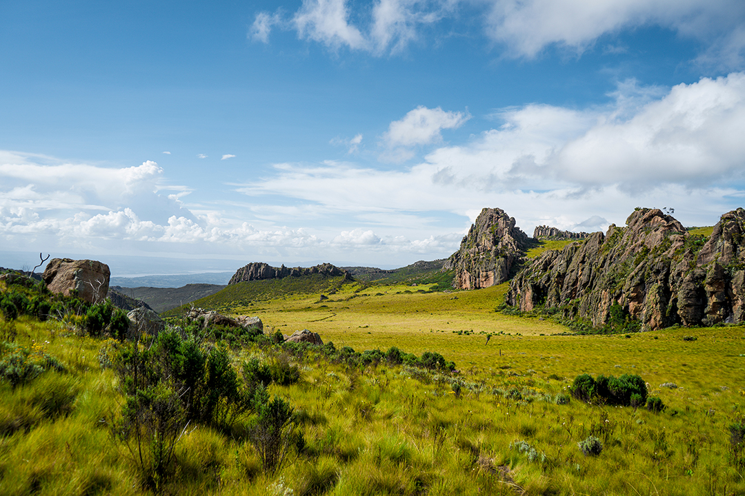 Aberdare National Park