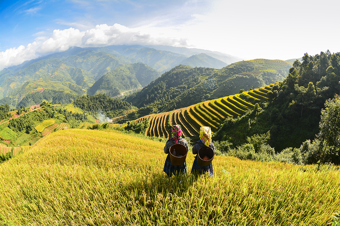 Uncover 6 Compelling Reasons To Experience Sapa's Charms
