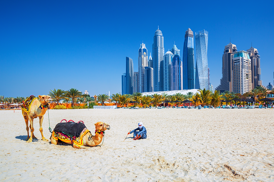 Top 5 Best Beaches In Dubai To Visit In Summer