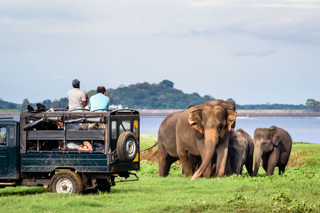 14 Days Sri Lanka's Wildlife Extravaganza