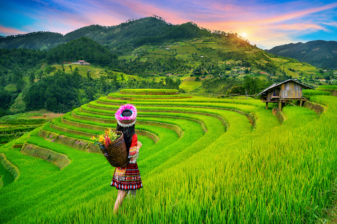 Vietnam e-Visa: Easy Travel Access For All Nationalities Since August 15th