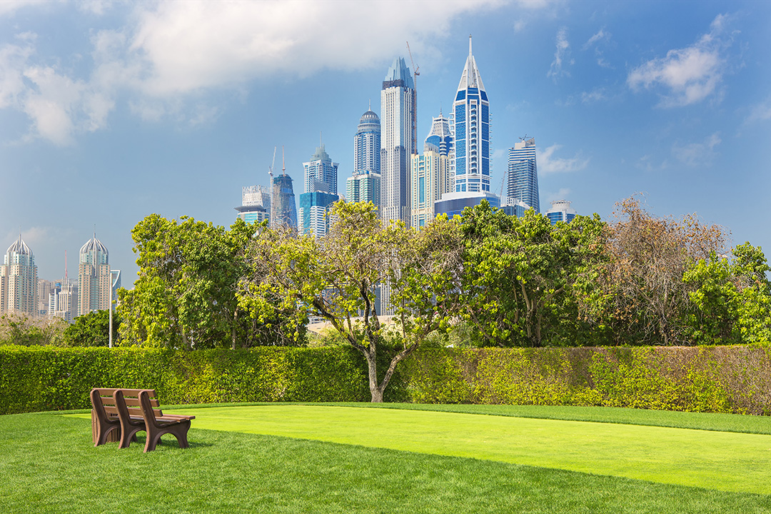 Top 5 Natural Places In Dubai - A Paradise Of Nature Lovers